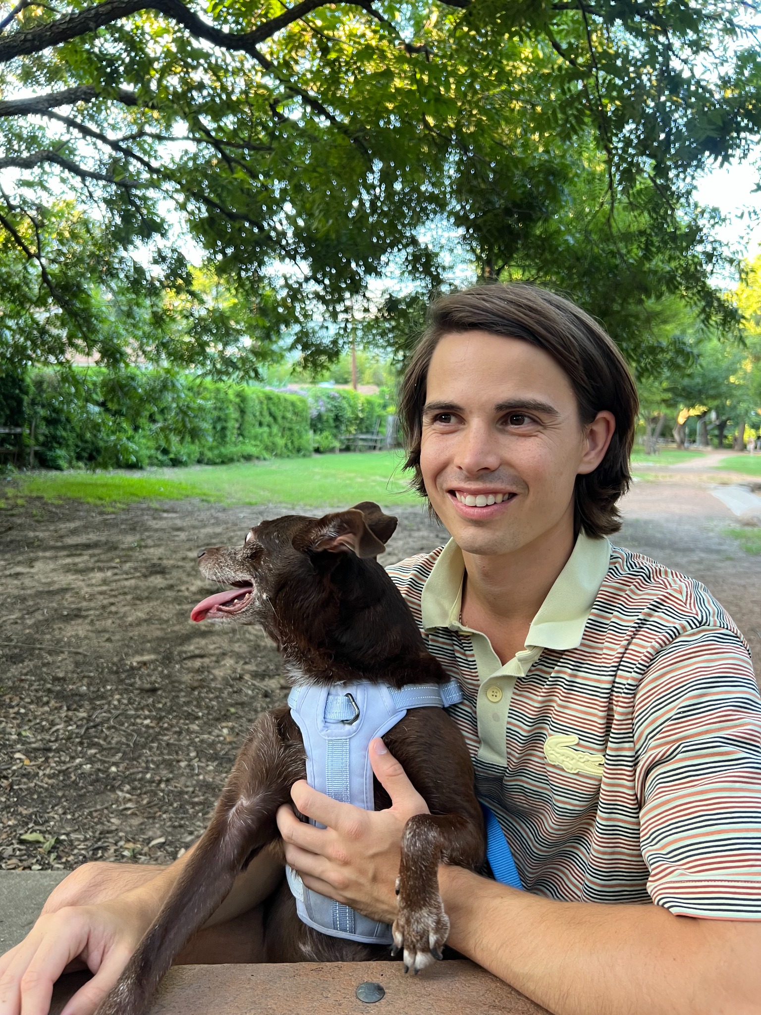 Oscar sitting outdoors with a dog