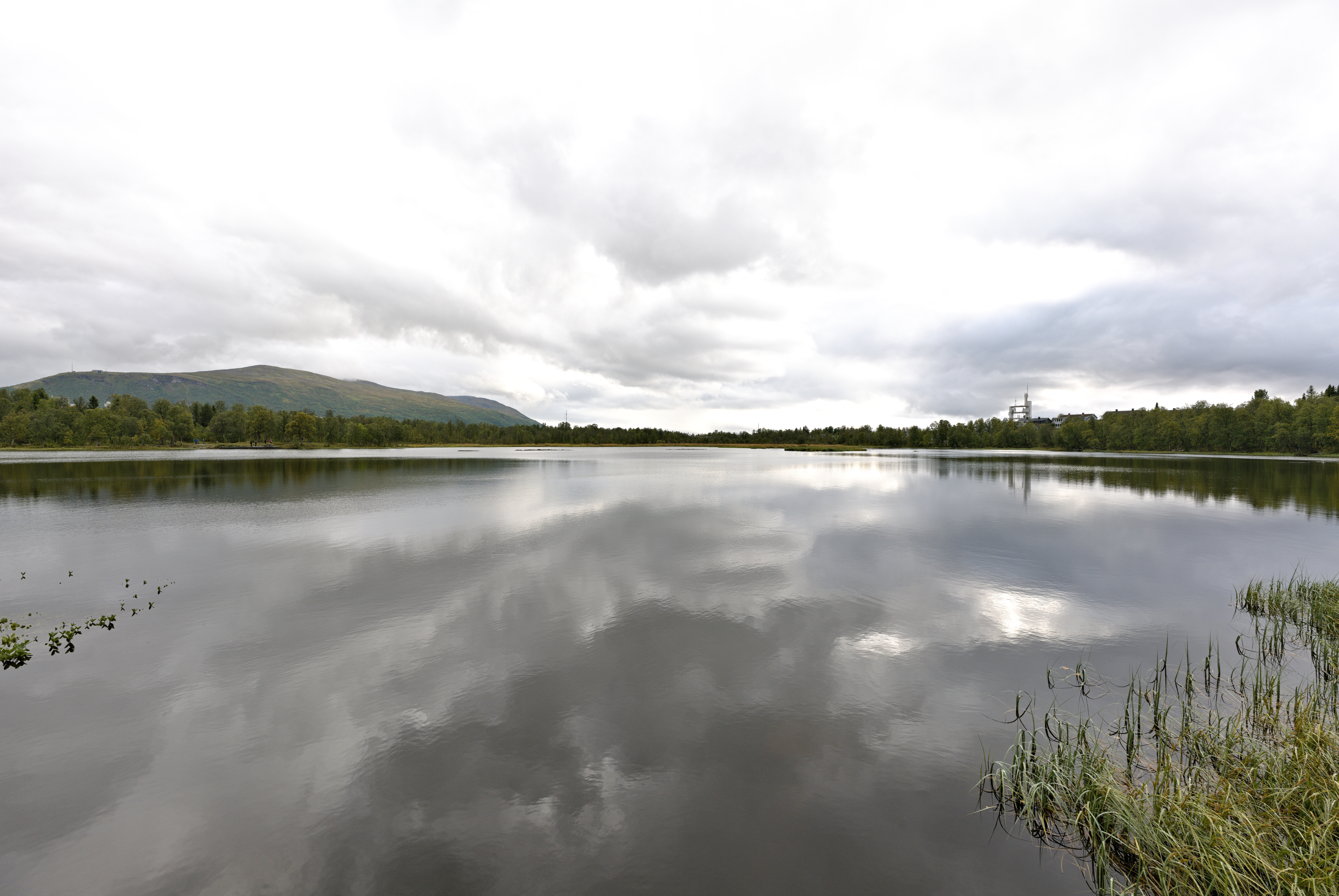 Prestvannet